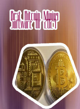Bitcoin one circulating coins study