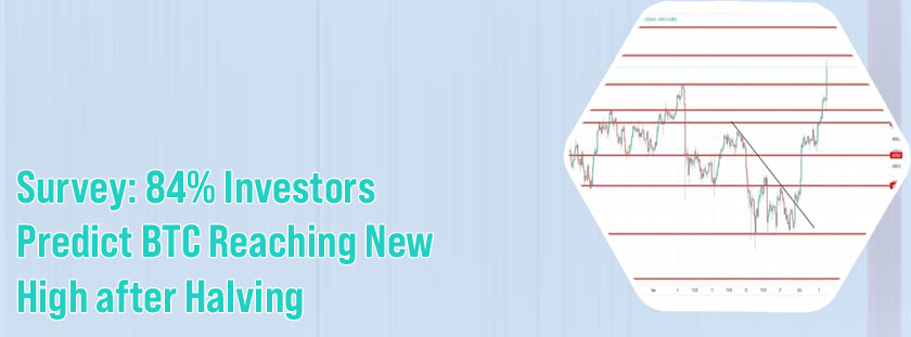 Btc usd investing