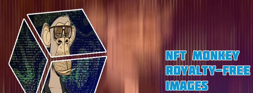 Crypto monkey nft