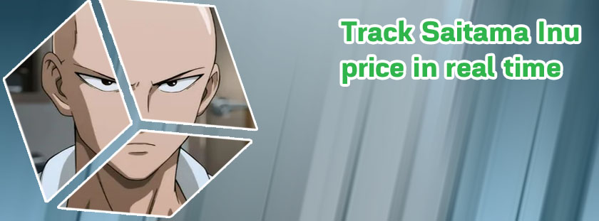 Saitama currency