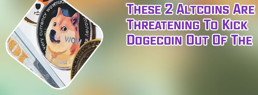 Top 100 dogecoin wallets