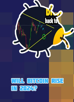 Where will bitcoin go
